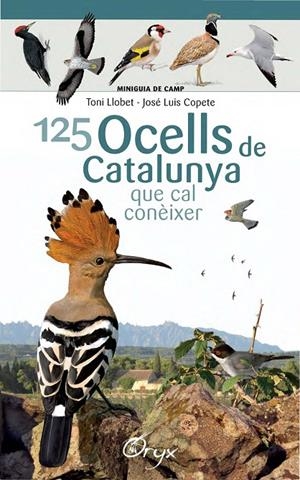 125 OCELLS DE CATALUNYA QUE CAL CONÈIXER | 9788490346747 | LLOBET FRANÇOIS, TONI/COPETE, JOSÉ LUIS | Llibreria L'Altell - Llibreria Online de Banyoles | Comprar llibres en català i castellà online - Llibreria de Girona