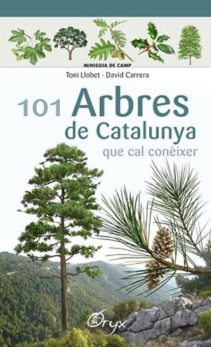 101 ARBRES DE CATALUNYA QUE CAL CONÈIXER | 9788490346778 | LLOBET FRANÇOIS, TONI/CARRERA BONET, DAVID | Llibreria L'Altell - Llibreria Online de Banyoles | Comprar llibres en català i castellà online - Llibreria de Girona