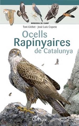 OCELLS RAPINYAIRES DE CATALUNYA | 9788490346785 | LLOBET FRANÇOIS, TONI/COPETE, JOSÉ LUIS | Llibreria L'Altell - Llibreria Online de Banyoles | Comprar llibres en català i castellà online - Llibreria de Girona