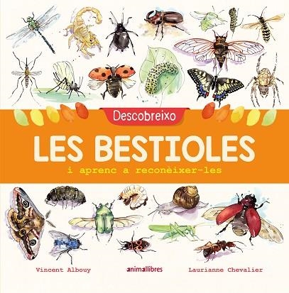 DESCOBREIXO LES BESTIOLES I APRENC A RECONÈIXER-LES | 9788417599201 | Llibreria L'Altell - Llibreria Online de Banyoles | Comprar llibres en català i castellà online - Llibreria de Girona