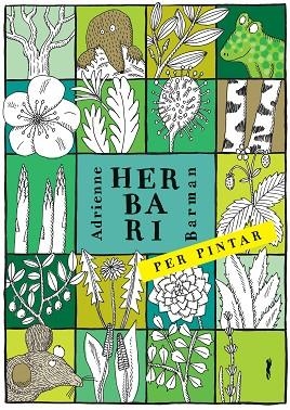 HERBARI PER PINTAR | 9788494990427 | BARMAN, ADRIANNE | Llibreria L'Altell - Llibreria Online de Banyoles | Comprar llibres en català i castellà online - Llibreria de Girona