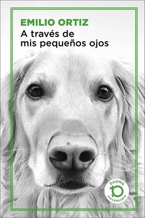 A TRAVÉS DE MIS PEQUEÑOS OJOS | 9788417761042 | ORTIZ PULIDO, EMILIO | Llibreria Online de Banyoles | Comprar llibres en català i castellà online