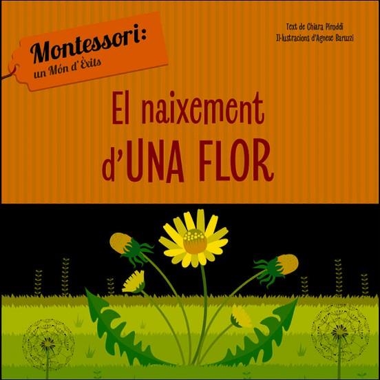 EL NAIXEMENT D'UNA FLOR (VVKIDS) | 9788468261737 | CH. PIRODDI | Llibreria L'Altell - Llibreria Online de Banyoles | Comprar llibres en català i castellà online - Llibreria de Girona
