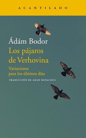 LOS PÁJAROS DE VERHOVINA | 9788417346706 | ÁDÁM BODOR | Llibreria Online de Banyoles | Comprar llibres en català i castellà online