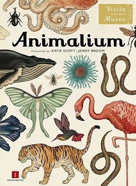 ANIMALIUM | 9788415979463 | Llibreria Online de Banyoles | Comprar llibres en català i castellà online