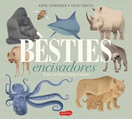 BÈSTIES ENCISADORES | 9788417222680 | GARDNER, KATE | Llibreria L'Altell - Llibreria Online de Banyoles | Comprar llibres en català i castellà online - Llibreria de Girona