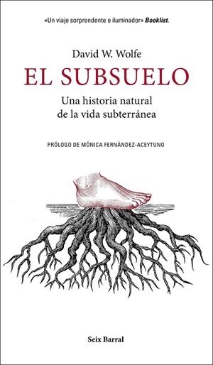 SUBSUELO, EL | 9788432235603 | WOLFE, DAVID W. | Llibreria Online de Banyoles | Comprar llibres en català i castellà online