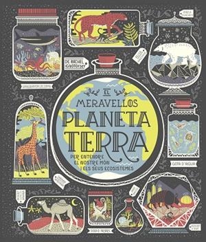 EL MERAVELLÓS PLANETA TERRA | 9788491378778 | IGNOTOFSKY, RACHEL | Llibreria L'Altell - Llibreria Online de Banyoles | Comprar llibres en català i castellà online - Llibreria de Girona