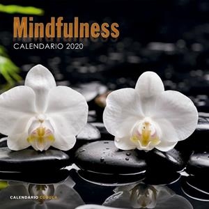 CALENDARIO MINDFULNESS 2020 | 9788448026110 | AA. VV. | Llibreria L'Altell - Llibreria Online de Banyoles | Comprar llibres en català i castellà online - Llibreria de Girona