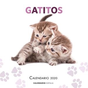 CALENDARIO GATITOS 2020 | 9788448026165 | AA. VV. | Llibreria L'Altell - Llibreria Online de Banyoles | Comprar llibres en català i castellà online - Llibreria de Girona