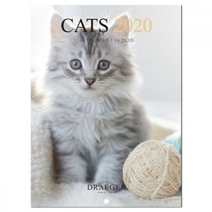 CALENDARI 16 MESOS PETIT 18X18 CATS 2020 | 3045677979188 | DRAEGER | Llibreria L'Altell - Llibreria Online de Banyoles | Comprar llibres en català i castellà online - Llibreria de Girona
