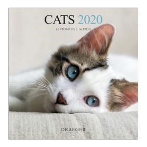 CALENDARI 16 MESOS GRAN 28X29 CATS 2020 | 3045677979263 | DRAEGER | Llibreria L'Altell - Llibreria Online de Banyoles | Comprar llibres en català i castellà online - Llibreria de Girona