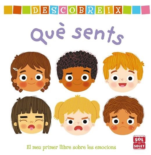 DESCOBREIX QUÈ SENTS | 9788499063003 | VARIOS AUTORES | Llibreria Online de Banyoles | Comprar llibres en català i castellà online