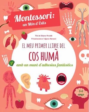 EL MEU PRIMER LLIBRE DEL COS HUMA (VVKIDS) | 9788468250052 | PIRODDI, CHIARA | Llibreria L'Altell - Llibreria Online de Banyoles | Comprar llibres en català i castellà online - Llibreria de Girona