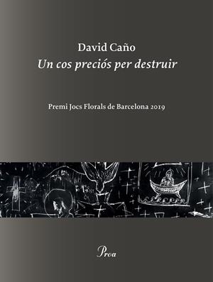 UN COS PRECIÓS PER DESTRUIR | 9788475887999 | CAÑO, DAVID | Llibreria L'Altell - Llibreria Online de Banyoles | Comprar llibres en català i castellà online - Llibreria de Girona