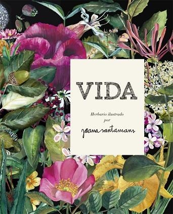 VIDA. HERBARIO ILUSTRADO | 9788416670642 | SANTAMANS, JOANA | Llibreria Online de Banyoles | Comprar llibres en català i castellà online