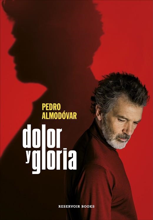 DOLOR Y GLORIA | 9788417910303 | ALMODÓVAR, PEDRO | Llibreria Online de Banyoles | Comprar llibres en català i castellà online