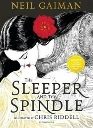 THE SLEEPER AND THE SPINDER | 9781408859650 | NEIL GAIMAN/CHRIS RIDELL | Llibreria L'Altell - Llibreria Online de Banyoles | Comprar llibres en català i castellà online - Llibreria de Girona