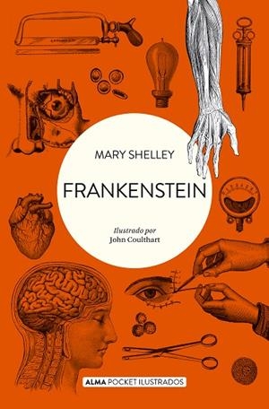 FRANKENSTEIN (POCKET) | 9788418008511 | SHELLEY, MARY | Llibreria L'Altell - Llibreria Online de Banyoles | Comprar llibres en català i castellà online - Llibreria de Girona