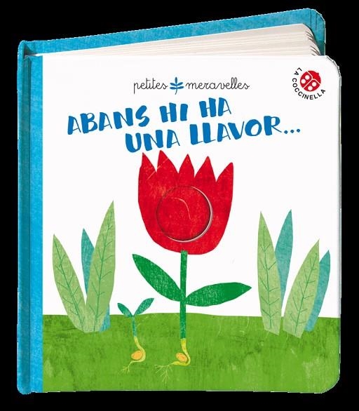 ABANS HI HA UNA LLAVOR | 9788855060325 | AAVV | Llibreria L'Altell - Llibreria Online de Banyoles | Comprar llibres en català i castellà online - Llibreria de Girona