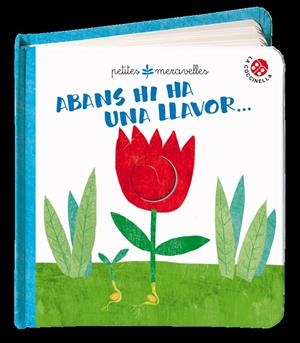 ABANS HI HA UNA LLAVOR | 9788855060325 | AAVV | Llibreria Online de Banyoles | Comprar llibres en català i castellà online