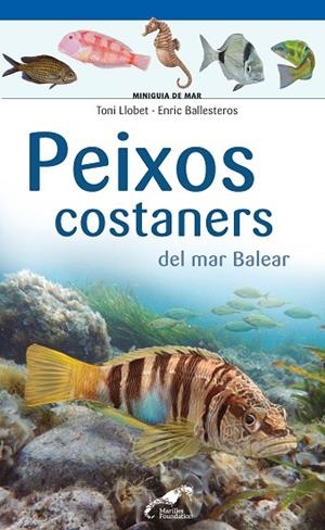 PEIXOS COSTANERS DEL MAR BALEAR | 9788490349403 | LLOBET FRANÇOIS , TONI/BALLESTEROS SAGARRA , ENRIC | Llibreria L'Altell - Llibreria Online de Banyoles | Comprar llibres en català i castellà online - Llibreria de Girona