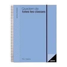 QUADERN DE TOTES LES CLASSES DIA/PÀGINA ADDITIO | 8428318012317 | ADDITIO | Llibreria L'Altell - Llibreria Online de Banyoles | Comprar llibres en català i castellà online - Llibreria de Girona