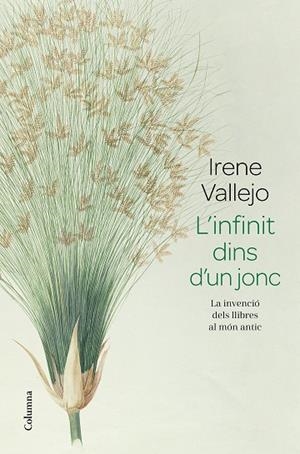 L'INFINIT DINS D'UN JONC | 9788466426947 | VALLEJO, IRENE | Llibreria Online de Banyoles | Comprar llibres en català i castellà online