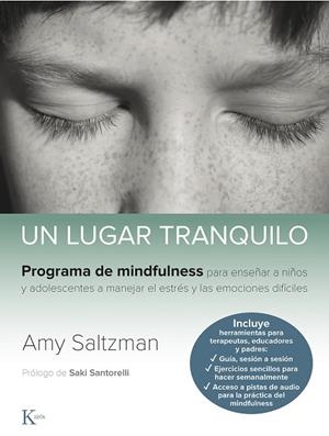 UN LUGAR TRANQUILO | 9788499887562 | SALTZMAN, AMY | Llibreria L'Altell - Llibreria Online de Banyoles | Comprar llibres en català i castellà online - Llibreria de Girona