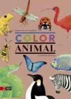 COLOR ANIMAL - CATALÀ | 9788417374648 | EMMANUELLE FUIGUERAS I CLAIRE DE GASTOLD | Llibreria L'Altell - Llibreria Online de Banyoles | Comprar llibres en català i castellà online - Llibreria de Girona