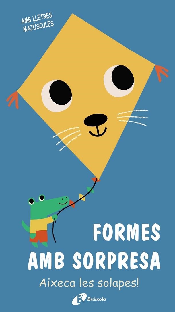 FORMES AMB SORPRESA | 9788499063690 | VARIOS AUTORES | Llibreria L'Altell - Llibreria Online de Banyoles | Comprar llibres en català i castellà online - Llibreria de Girona