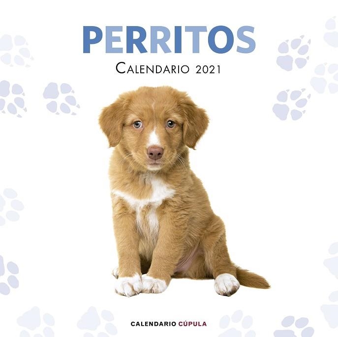 CALENDARIO PERRITOS 2021 | 9788448027766 | AA. VV. | Llibreria L'Altell - Llibreria Online de Banyoles | Comprar llibres en català i castellà online - Llibreria de Girona