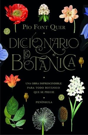 DICCIONARIO DE BOTÁNICA | 9788499429076 | FONT QUER, PÍO | Llibreria Online de Banyoles | Comprar llibres en català i castellà online
