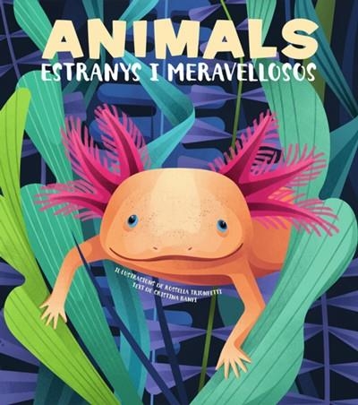 ANIMALS EXTRANYS I MERAVELLOSOS | 9788468270685 | BANFI, CRISTINA | Llibreria L'Altell - Llibreria Online de Banyoles | Comprar llibres en català i castellà online - Llibreria de Girona