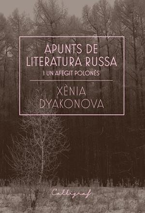 APUNTS DE LITERATURA RUSSA I UN AFEGIT POLONÈS | 9788412212358 | DYAKONOVA, XÈNIA | Llibreria L'Altell - Llibreria Online de Banyoles | Comprar llibres en català i castellà online - Llibreria de Girona