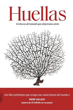 HUELLAS | 9788491992660 | FARRIER, DAVID | Llibreria Online de Banyoles | Comprar llibres en català i castellà online