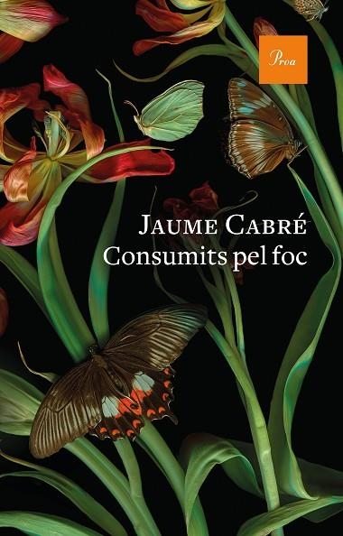 CONSUMITS PEL FOC | 9788475888835 | CABRÉ, JAUME | Llibreria L'Altell - Llibreria Online de Banyoles | Comprar llibres en català i castellà online - Llibreria de Girona