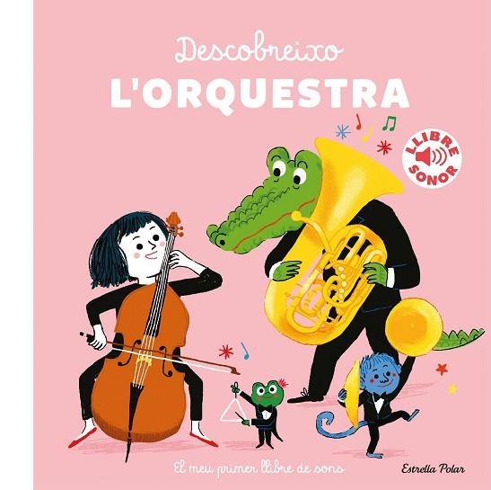 DESCOBREIXO L'ORQUESTRA | 9788418443404 | ROEDERER, CHARLOTTE | Llibreria L'Altell - Llibreria Online de Banyoles | Comprar llibres en català i castellà online - Llibreria de Girona
