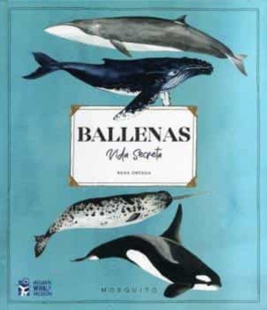 BALLENAS. VIDA SECRETA | 9788412247947 | ORTEGA, RENA | Llibreria L'Altell - Llibreria Online de Banyoles | Comprar llibres en català i castellà online - Llibreria de Girona