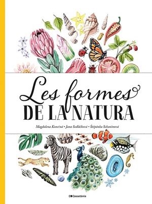 FORMES DE LA NATURA, LES | 9788413560434 | SEDLACKOVA, JANA/SEKANINOVA, STEPANKA | Llibreria L'Altell - Llibreria Online de Banyoles | Comprar llibres en català i castellà online - Llibreria de Girona