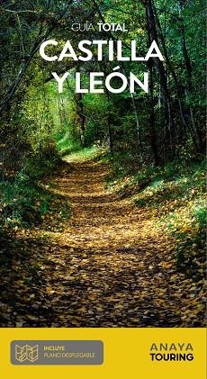 CASTILLA Y LEÓN | 9788491583660 | RAMOS CAMPOS, ALFREDO/DURO PÉREZ, RUBÉN/MEDINA BAÑÓN, IGNACIO | Llibreria Online de Banyoles | Comprar llibres en català i castellà online