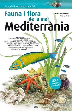 FLORA I FAUNA DE LA MAR MEDITERRÀNIA | 9788415885979 | BALLESTEROS SAGARRA, ENRIC | Llibreria L'Altell - Llibreria Online de Banyoles | Comprar llibres en català i castellà online - Llibreria de Girona