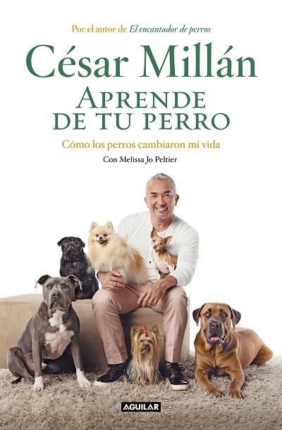 APRENDE DE TU PERRO | 9788403518445 | MILLÁN, CÉSAR | Llibreria L'Altell - Llibreria Online de Banyoles | Comprar llibres en català i castellà online - Llibreria de Girona