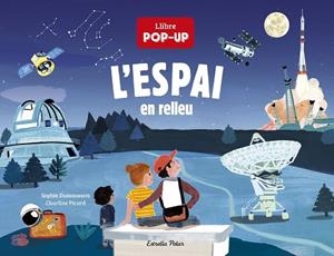 L'ESPAI EN RELLEU | 9788418444074 | DUSSAUSSOIS, SOPHIE/PICARD, CHARLINE | Llibreria L'Altell - Llibreria Online de Banyoles | Comprar llibres en català i castellà online - Llibreria de Girona