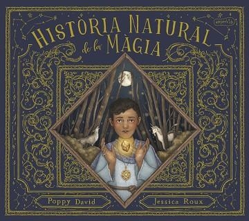 HISTÒRIA NATURAL DE LA MÀGIA | 9788418279874 | DAVID, POPPY | Llibreria L'Altell - Llibreria Online de Banyoles | Comprar llibres en català i castellà online - Llibreria de Girona