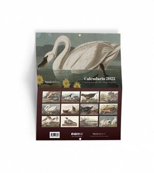 CALENDARIO AVES DE AMERICA | 9788418930317 | Llibreria Online de Banyoles | Comprar llibres en català i castellà online