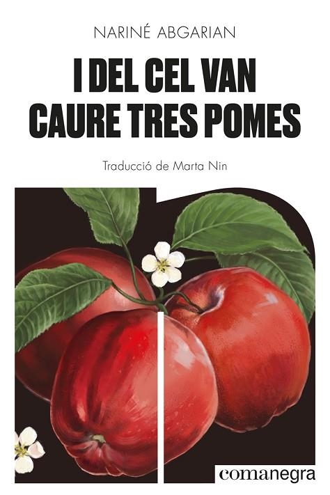 I DEL CEL VAN CAURE TRES POMES | 9788418857041 | ABGARIAN, NARINÉ | Llibreria L'Altell - Llibreria Online de Banyoles | Comprar llibres en català i castellà online - Llibreria de Girona