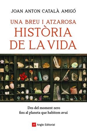 UNA BREU I ATZAROSA HISTÒRIA DE LA VIDA | 9788418197956 | CATALÀ AMIGÓ, JOAN ANTON | Llibreria Online de Banyoles | Comprar llibres en català i castellà online