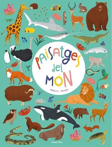 PAISATGES DEL MÓN | 9788413890579 | MOREA, MARISA | Llibreria Online de Banyoles | Comprar llibres en català i castellà online