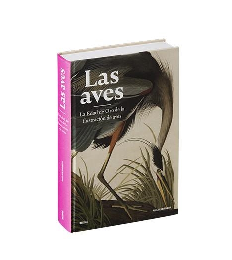 AVES, LAS | 9788418725500 | KENNEDY, PHILIP | Llibreria L'Altell - Llibreria Online de Banyoles | Comprar llibres en català i castellà online - Llibreria de Girona
